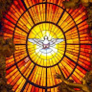 Meet your Posher, Sister m.